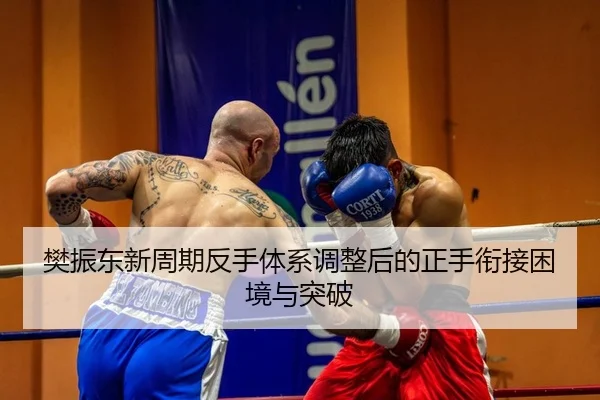 樊振东新周期反手体系调整后的正手衔接困境与突破